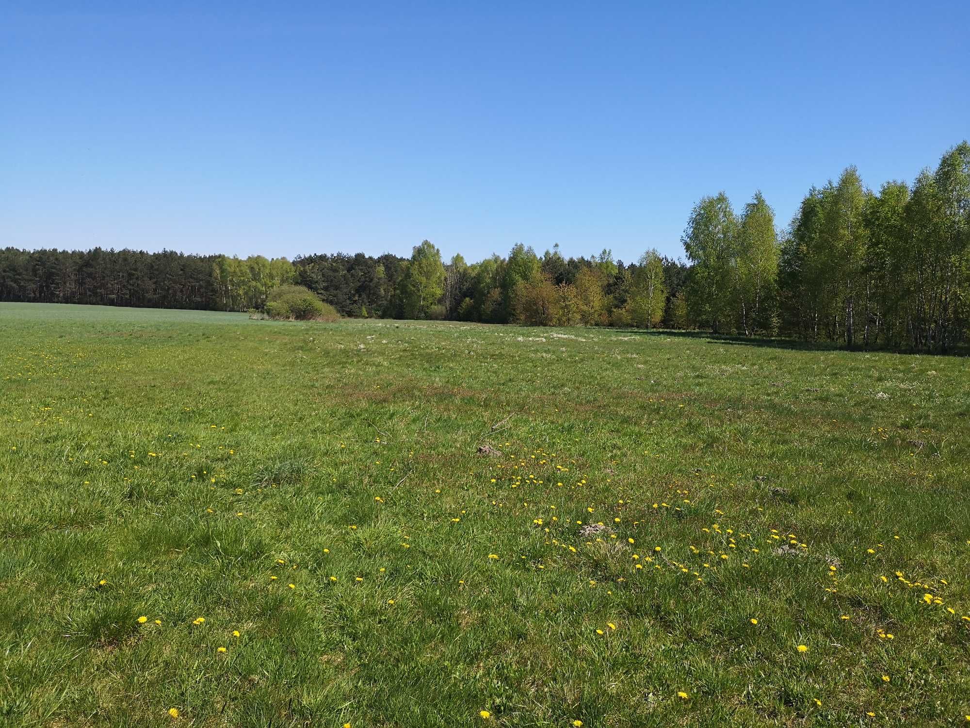 Działka rolno budowlana Jasionka k. Sokolniki Las 1175 m2