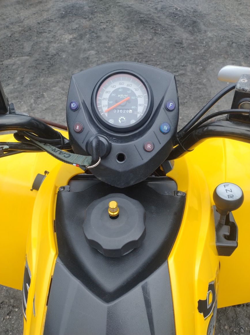 Quad Can AM ds 250