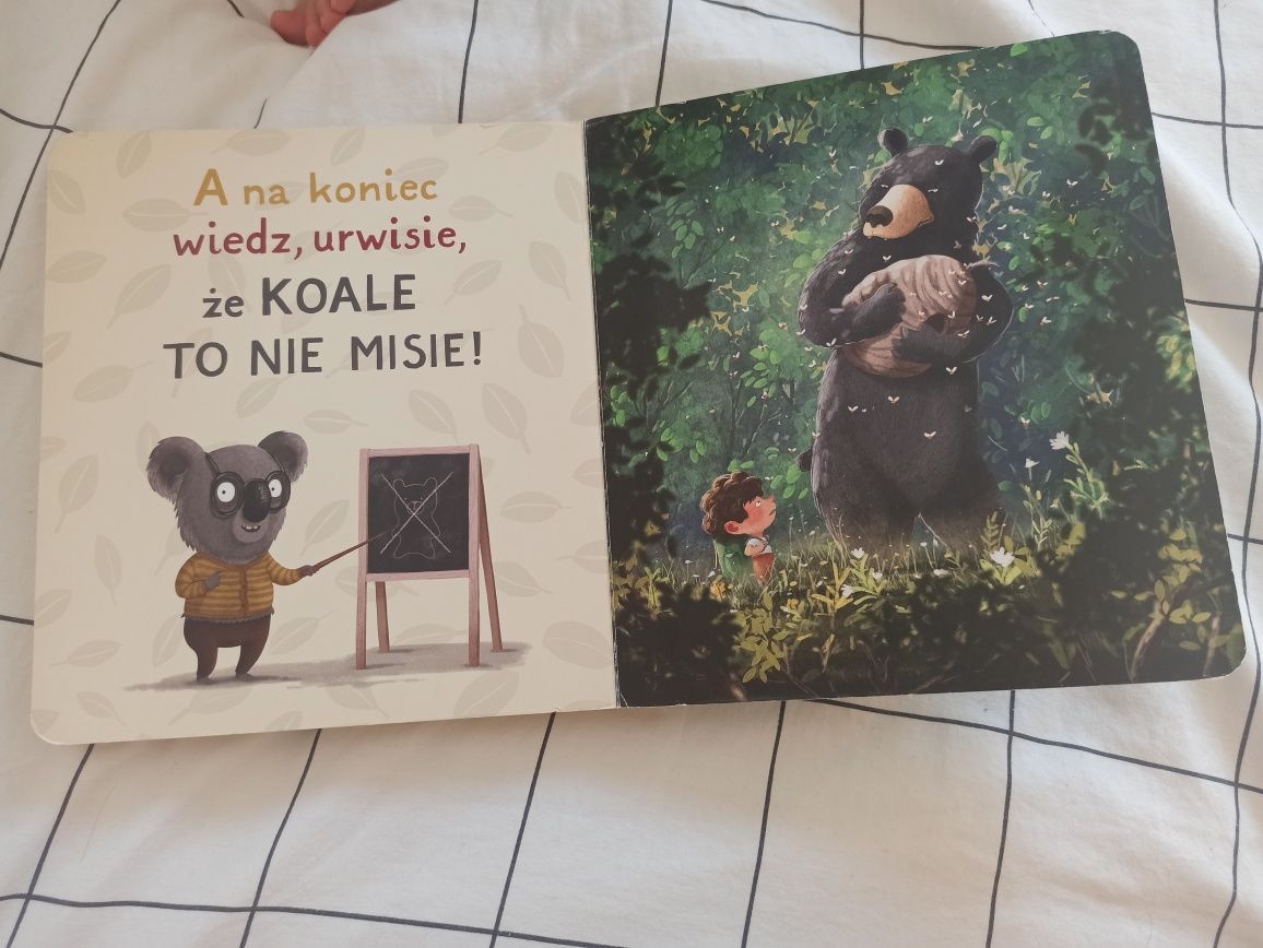 Koala nie pozwala książka Rafał Witek