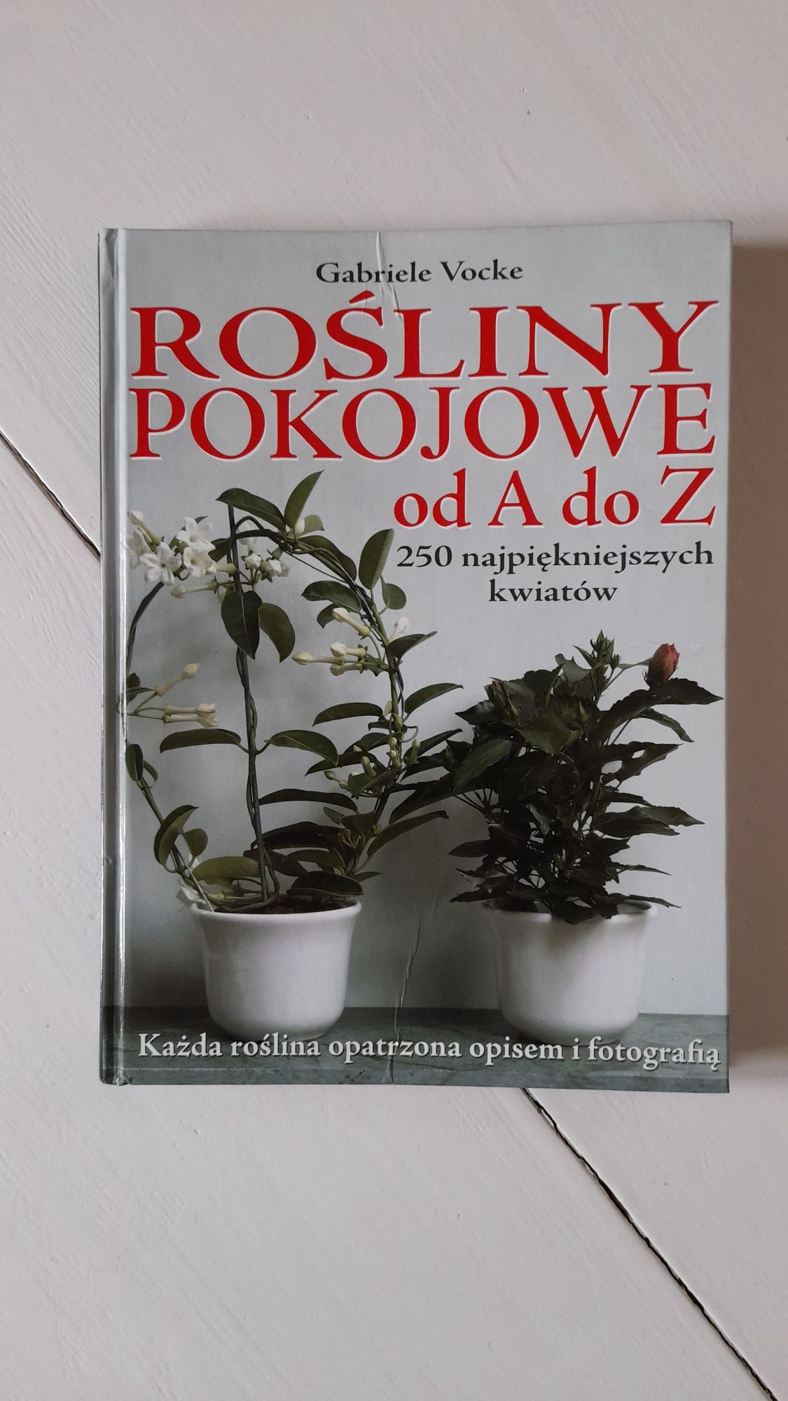 Rośliny pokojowe od A do Z, Gabriele Vocke