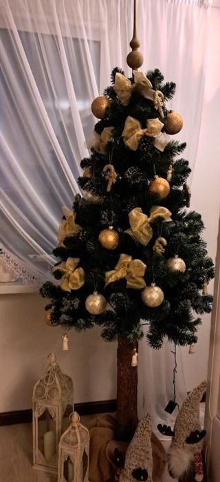 Choinka na pniu 220 cm