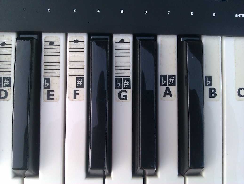 Alesis QX49 - Controlador MIDI de 49 teclas com enorme funcionalidade