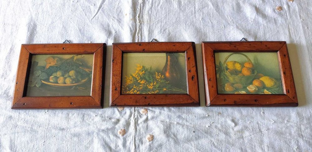 Trio de quadros decorativos de natureza morta