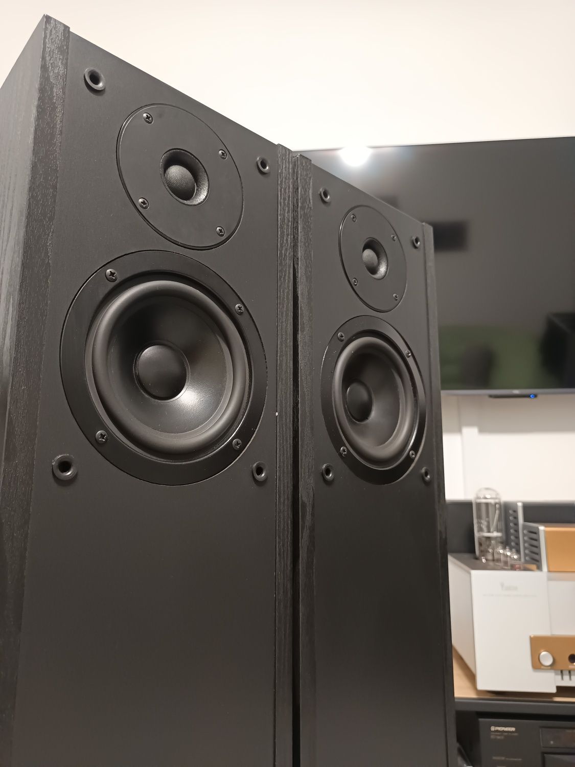 Tonsil Rapsodia 200 | Altus Alton Mildton Hx Zg Scherzo Voyager Unitra