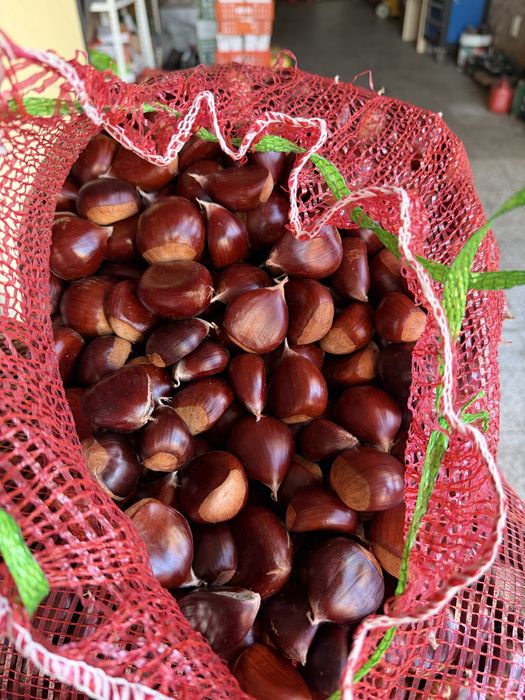 Castanhas chegadas agora