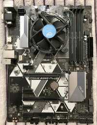 Asus Prime B365-Plus, Pentium G5420 сучасний комплект