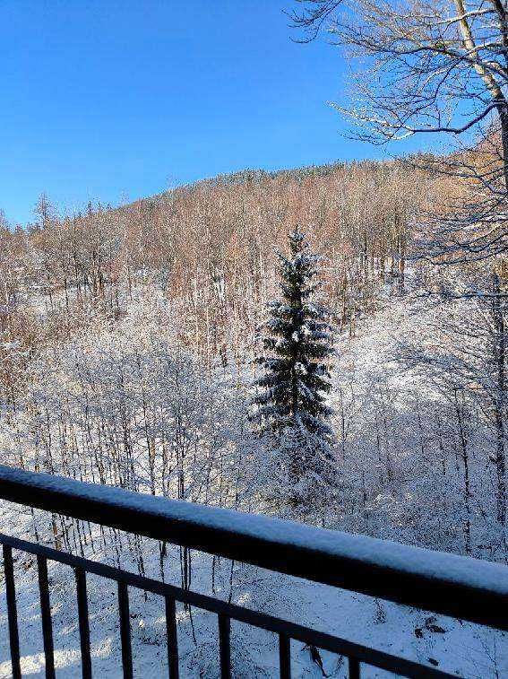 Apartament 4-os. z widokiem na las i góry, Górna 19