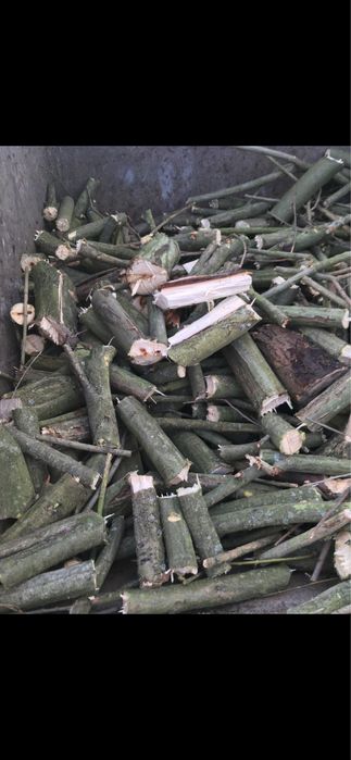 Rębak walcowy RP 200, usługi wycinka drzew i rozdrabnianie gałęzi