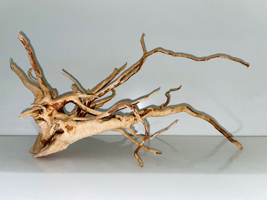 Korzeń do akwarium, terarium