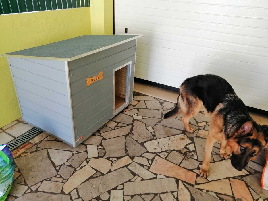 MSWOOD - Casotas para cães pequenos, médios e grandes - Modelo Vega