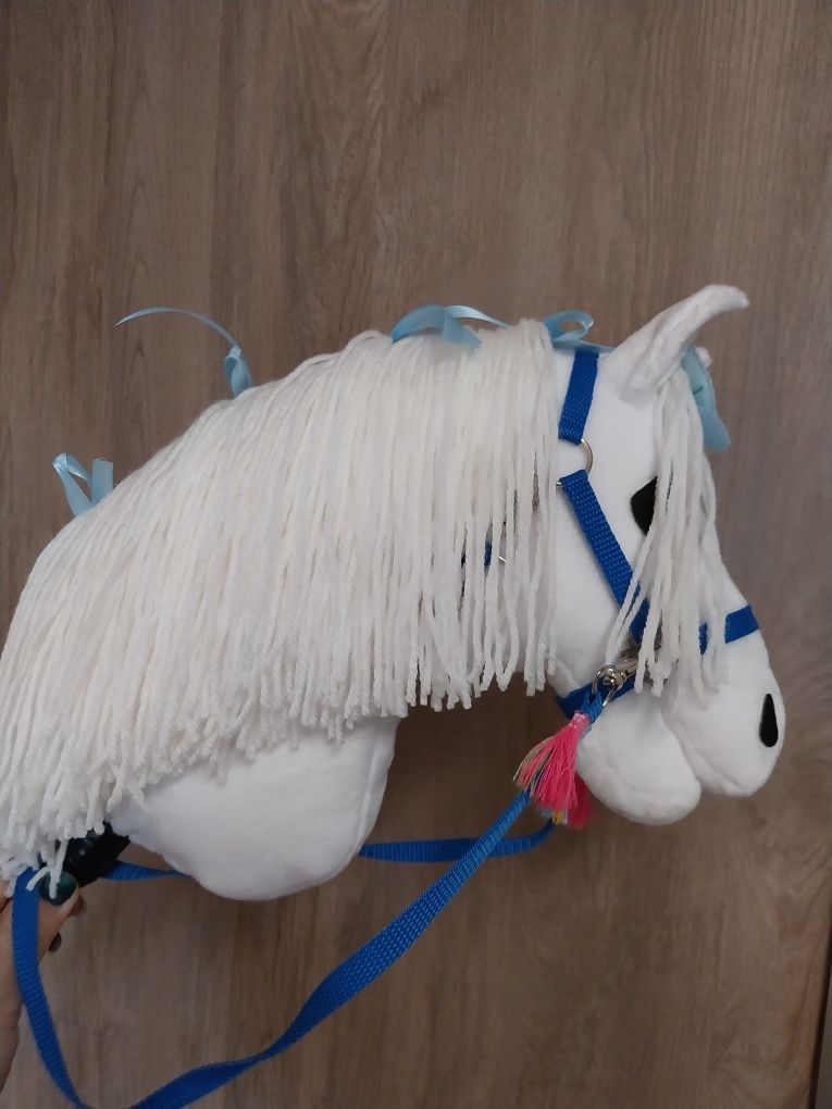 Konik hobby horse