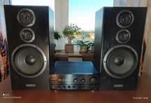 Pioneer CS-7030 / Pioneer A-656