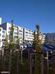 WŁAŚCICIEL, magazyn 590 m2 , Górczyn, Grunwald