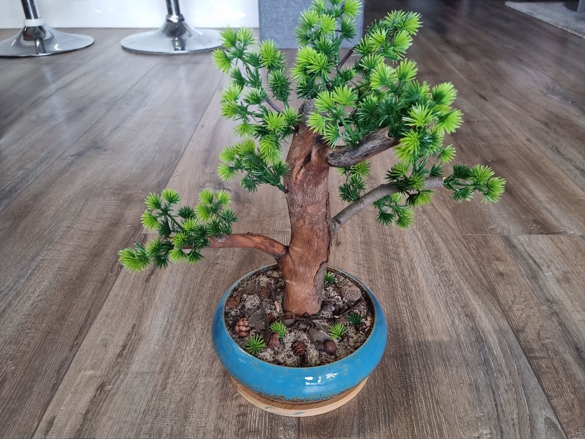 Drzewko   bonsai