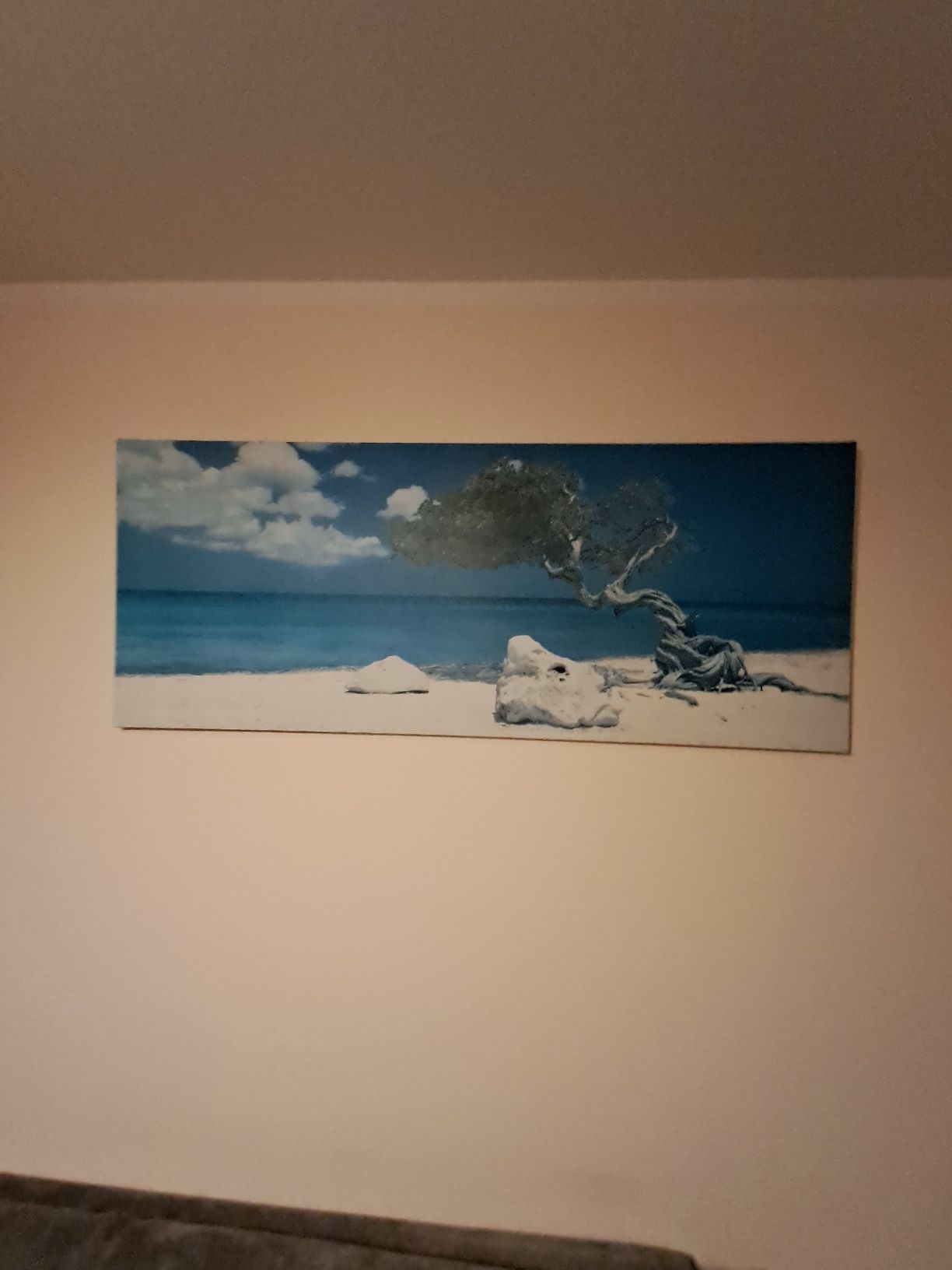 Duży obraz z Ikei 140 x 56 cm