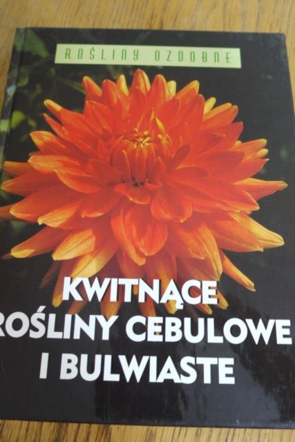 Kwitnące rośliny cebulowe i bulwiaste