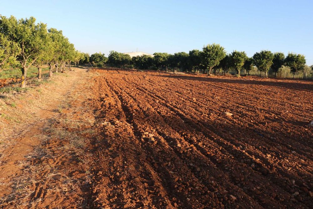 Terreno para Cultivo c/ Estufas