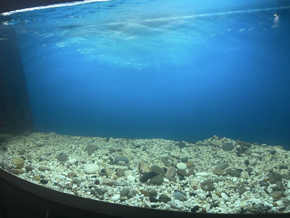 Акваріум ferplast на 300 літрів