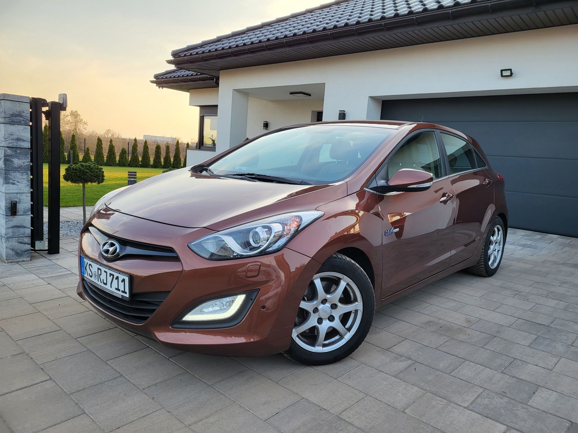 *** Xenon * Skóra * Navi * Oryginał ***