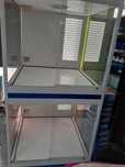 Boxe para animais em Petshop