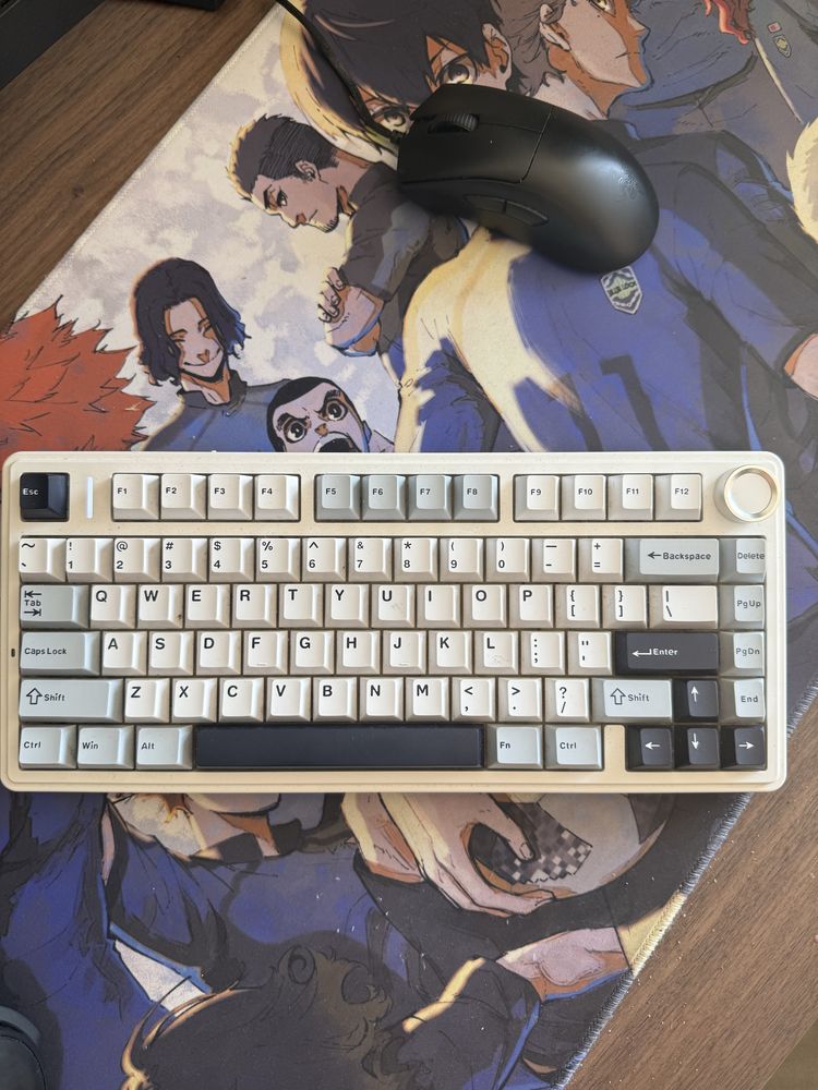 AULA F75 80 procentowa