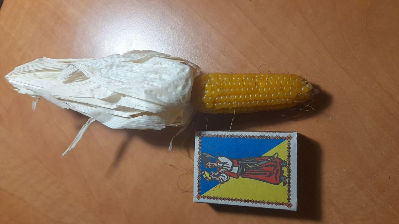 Кукуруза Малютка (baby corn)