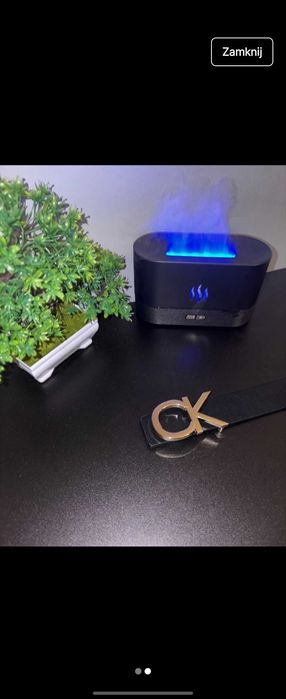 Pasek Calvin Klein damski