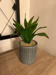 Planta artificial média/pequena com vaso azul de azulejos