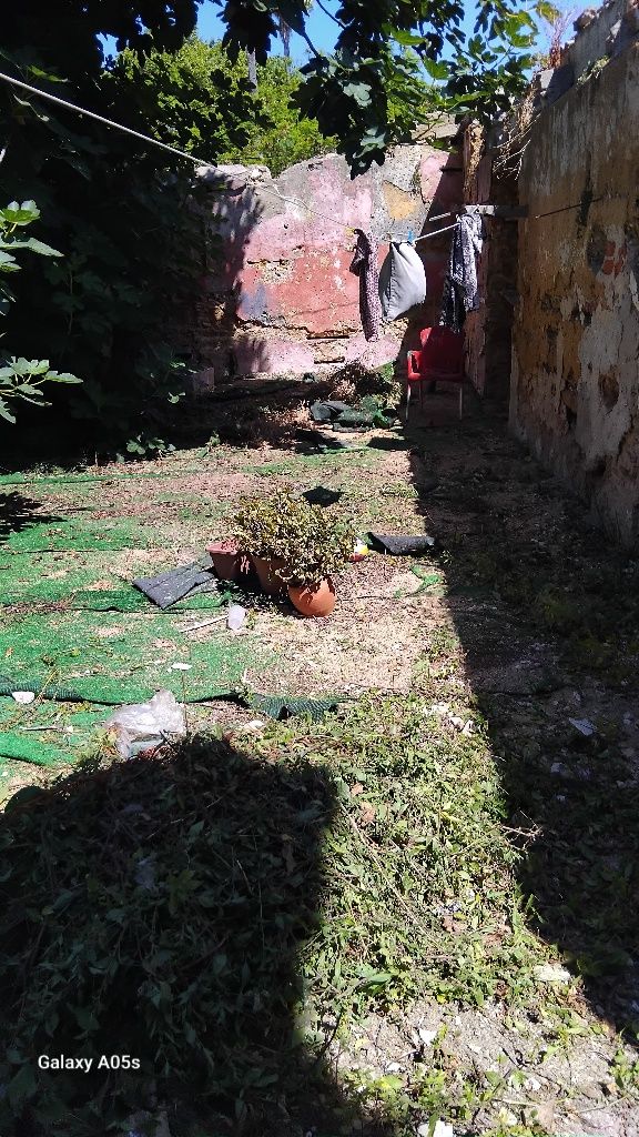 Limpeza de terrenos e pátios