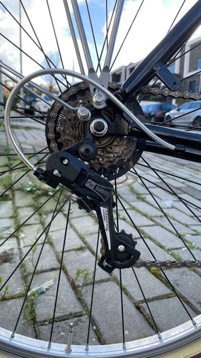 Adriatica Condorino Black