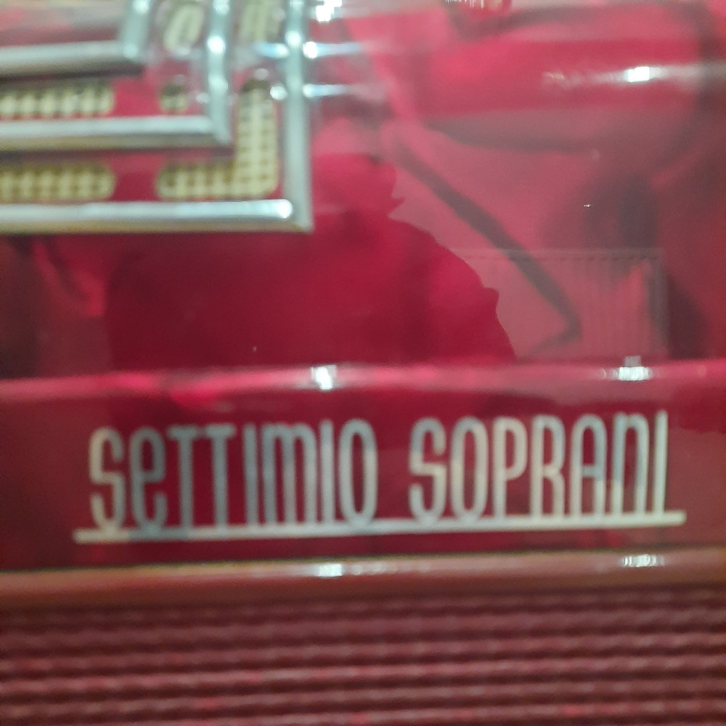 Akordeon Settimio Soprani 120 bas