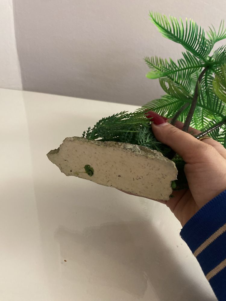 Decoração de aquario
