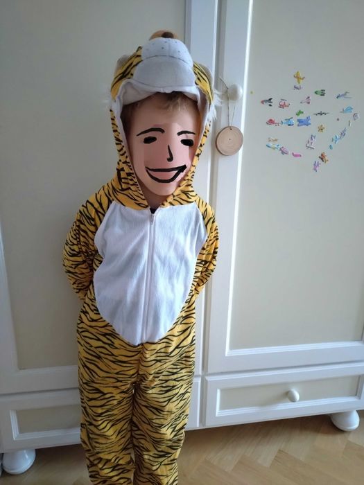 Strój tygryska, stan BDB, r. 116