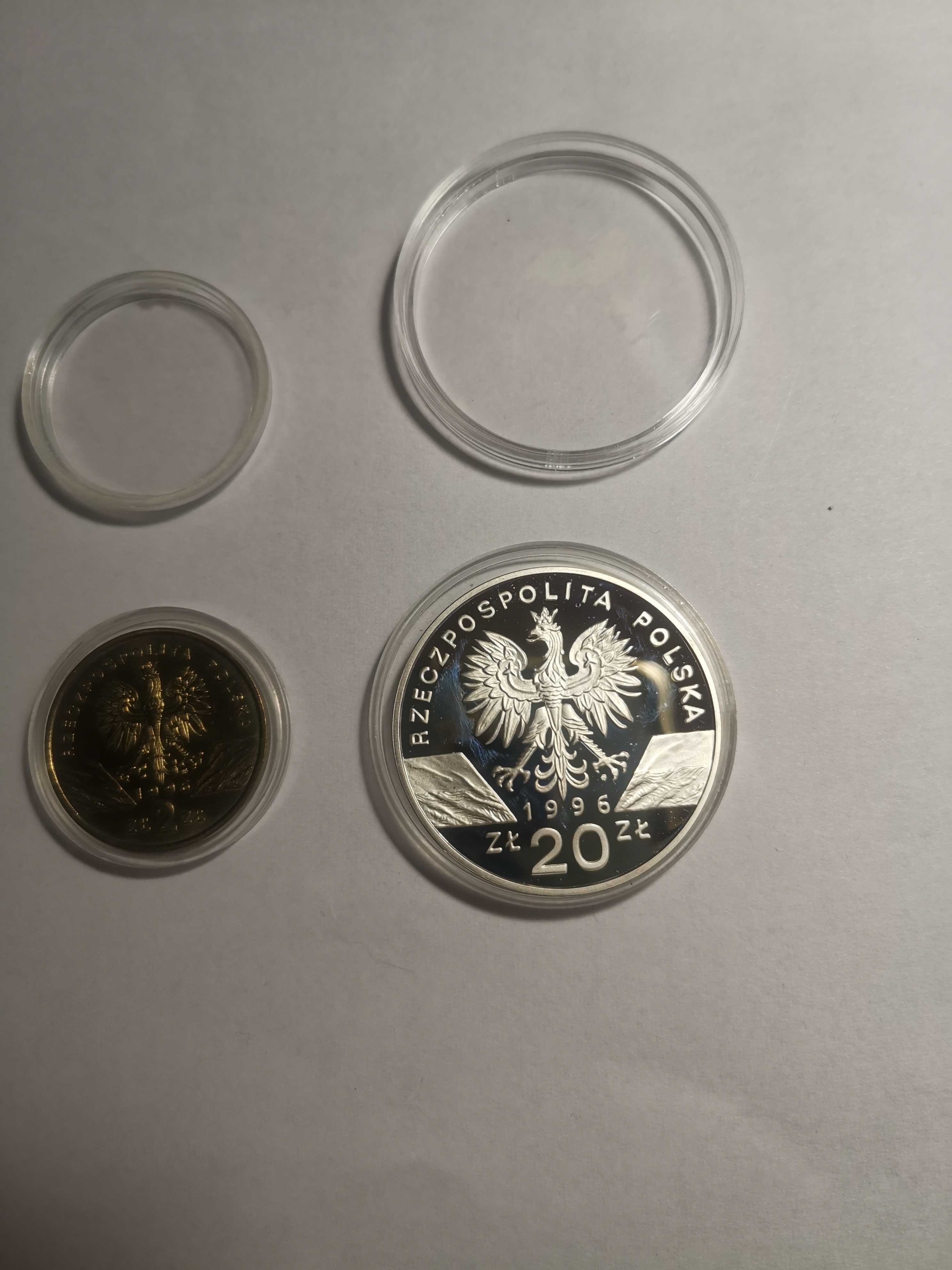 Srebrna moneta Jeż 20zł - 1996r. Oraz moneta Jeż 2zł - 1996