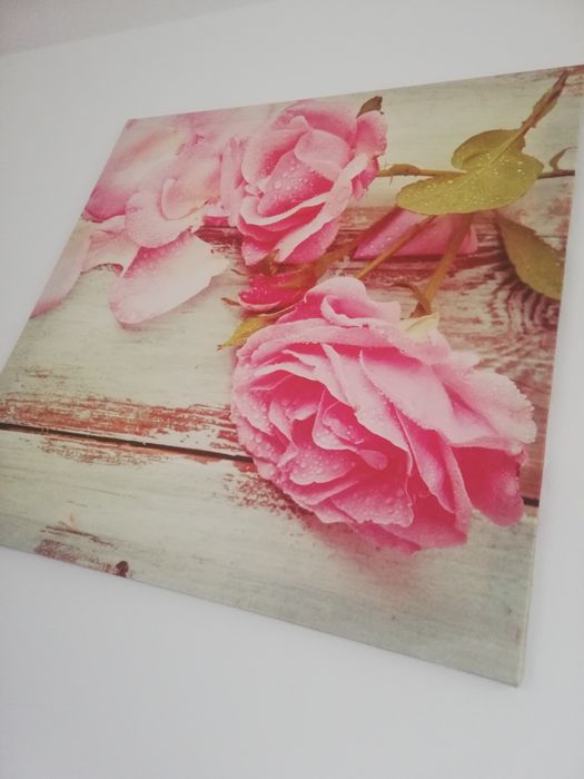 Obraz 58/58cm róże