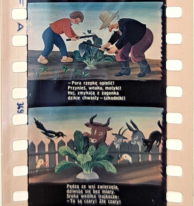 POSADZIŁ DZIAD RZEPKĘ bajka na rzutnik projektor diaskop PRL