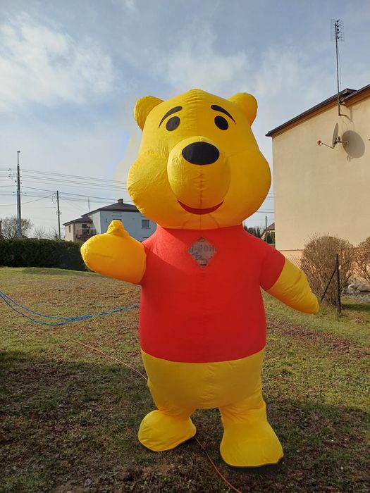 Żywe maskotki bialy mis kapibara kapybara nowość  kubus wynajem