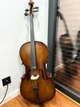 Violoncelo 3/4 student II SH STENTOR com Cordas 
Pirastro Chromcor