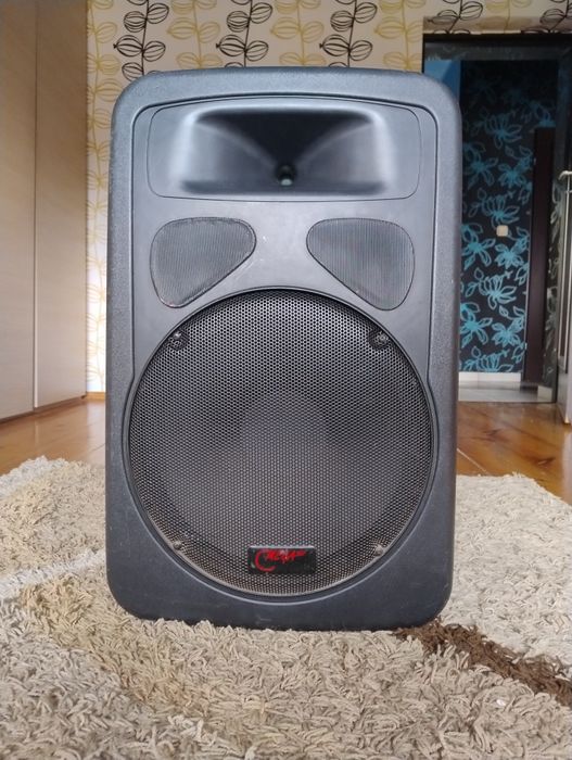 Kolumny estradowe 250W RMS pasywne