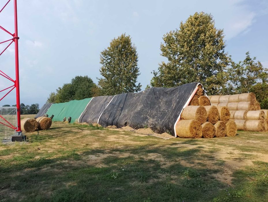 sprzedam siano w balotach