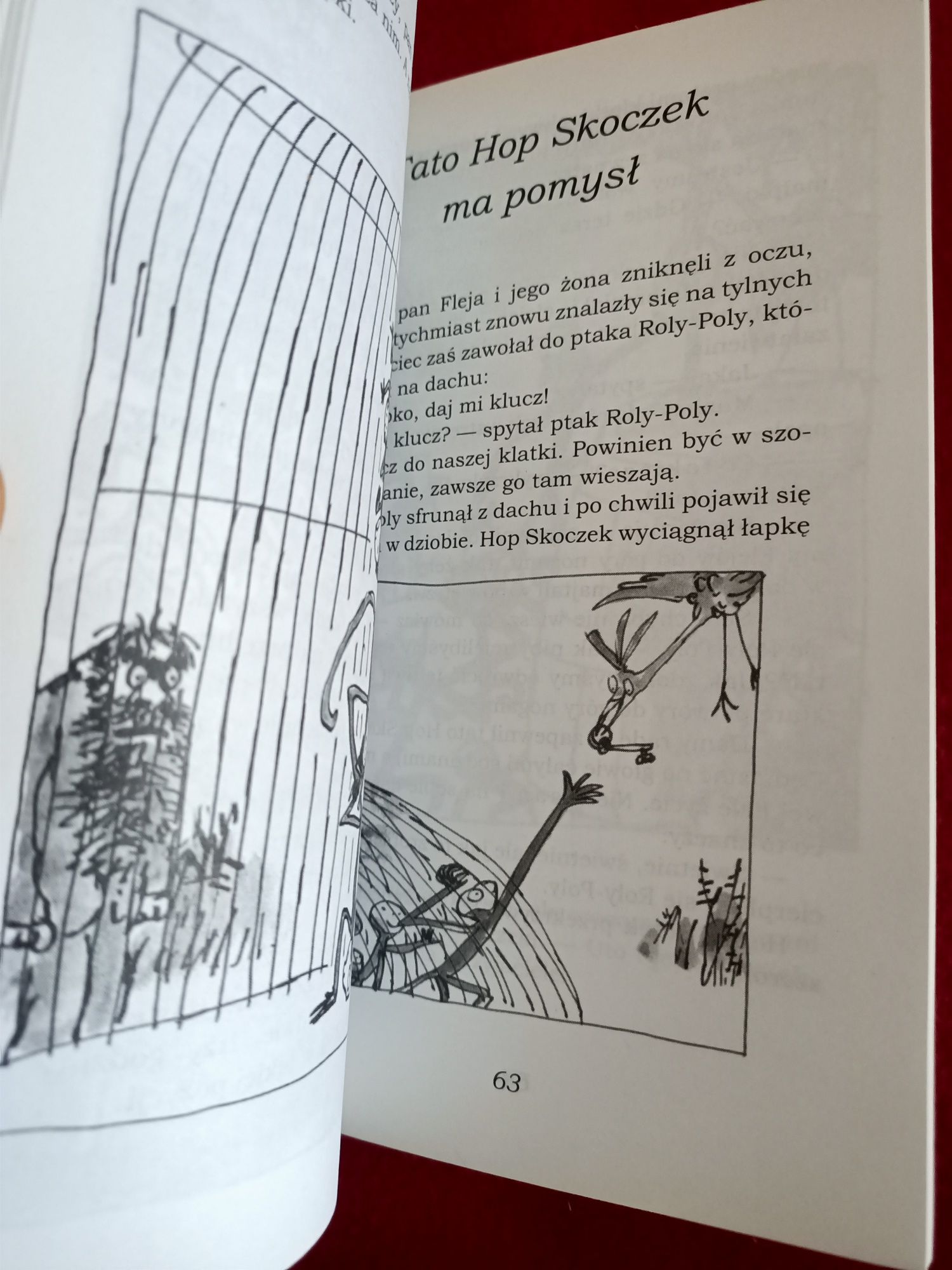 Fleje Roald Dahl ilustracje Blake