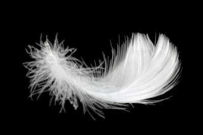 Kołdra z puchu gęsiego 160x200 3 kg + 4 poduszki