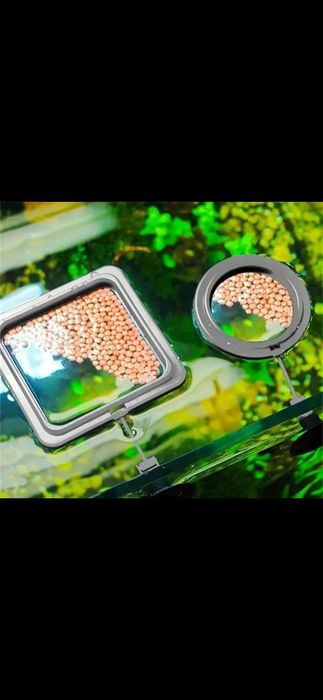 Aneis flutuantes para aquário