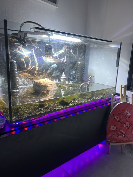 Akwarium Aquael stan idealny 112litrow