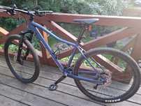 rower SCOTT CONTESSA Active 10