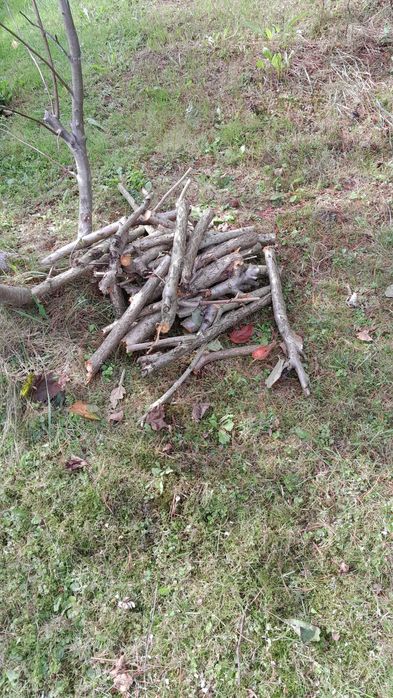 Drewno na opał, chrust