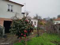 Moradia T3 com Espaço exterior - Pindelo dos Milagres