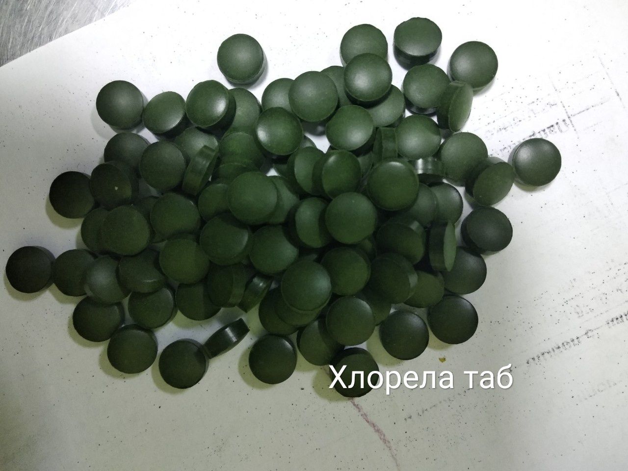 Хлорелла сине-зелёная водоросль хлорофилипт
