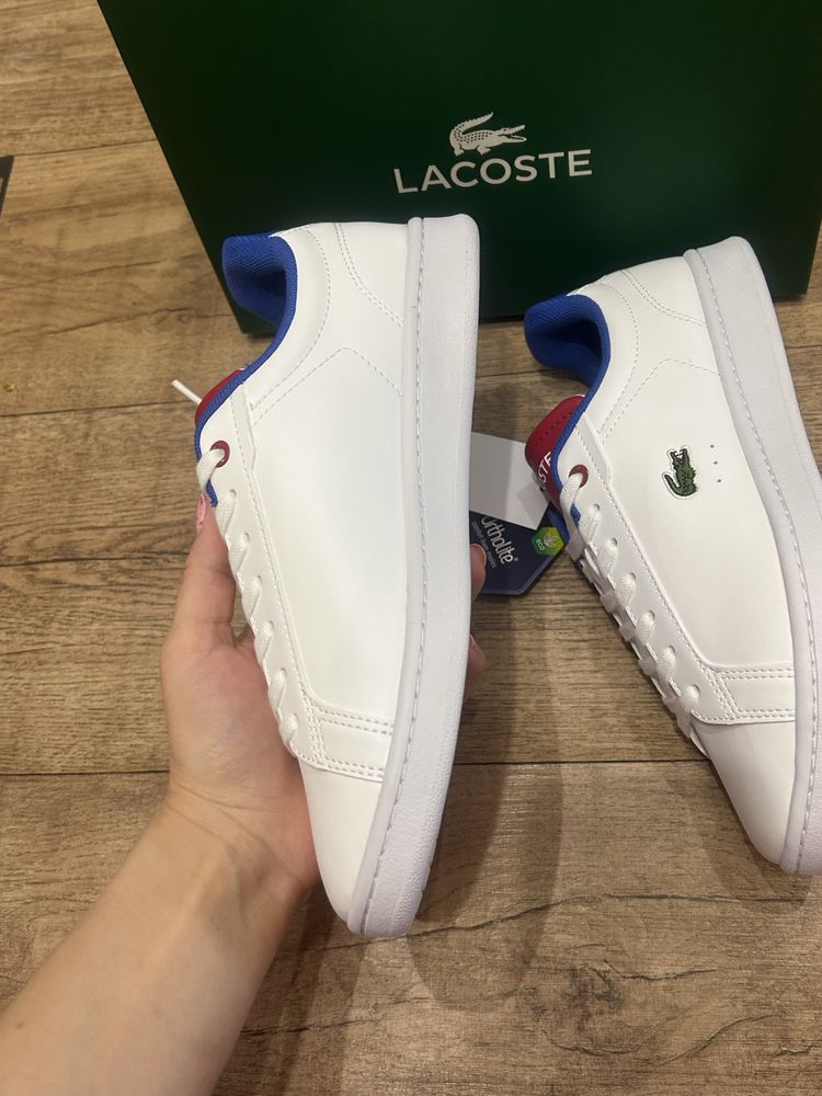 Nowe buty Lacoste