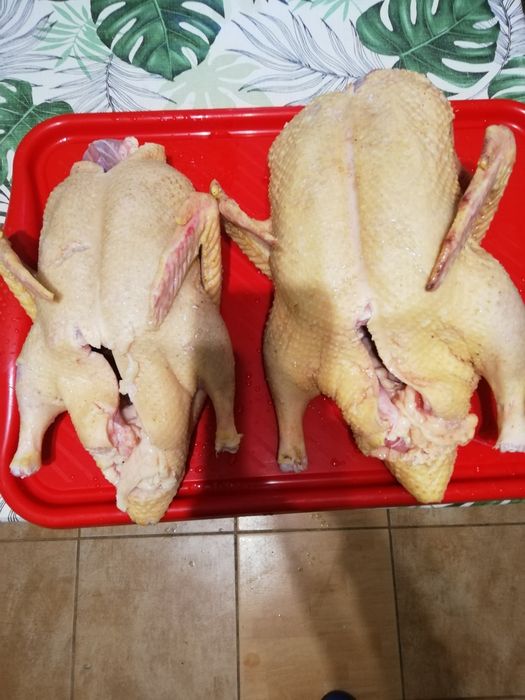 Kaczki francuskie tuszki